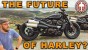 Is Harley-Davidson Still Iconic?