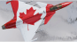 Canada’s Strategic Realignment