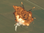 America is about to Undergo an Immediate Unscheduled Disassembly